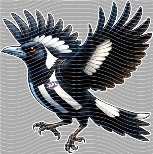 NBA and Team-QD 1424